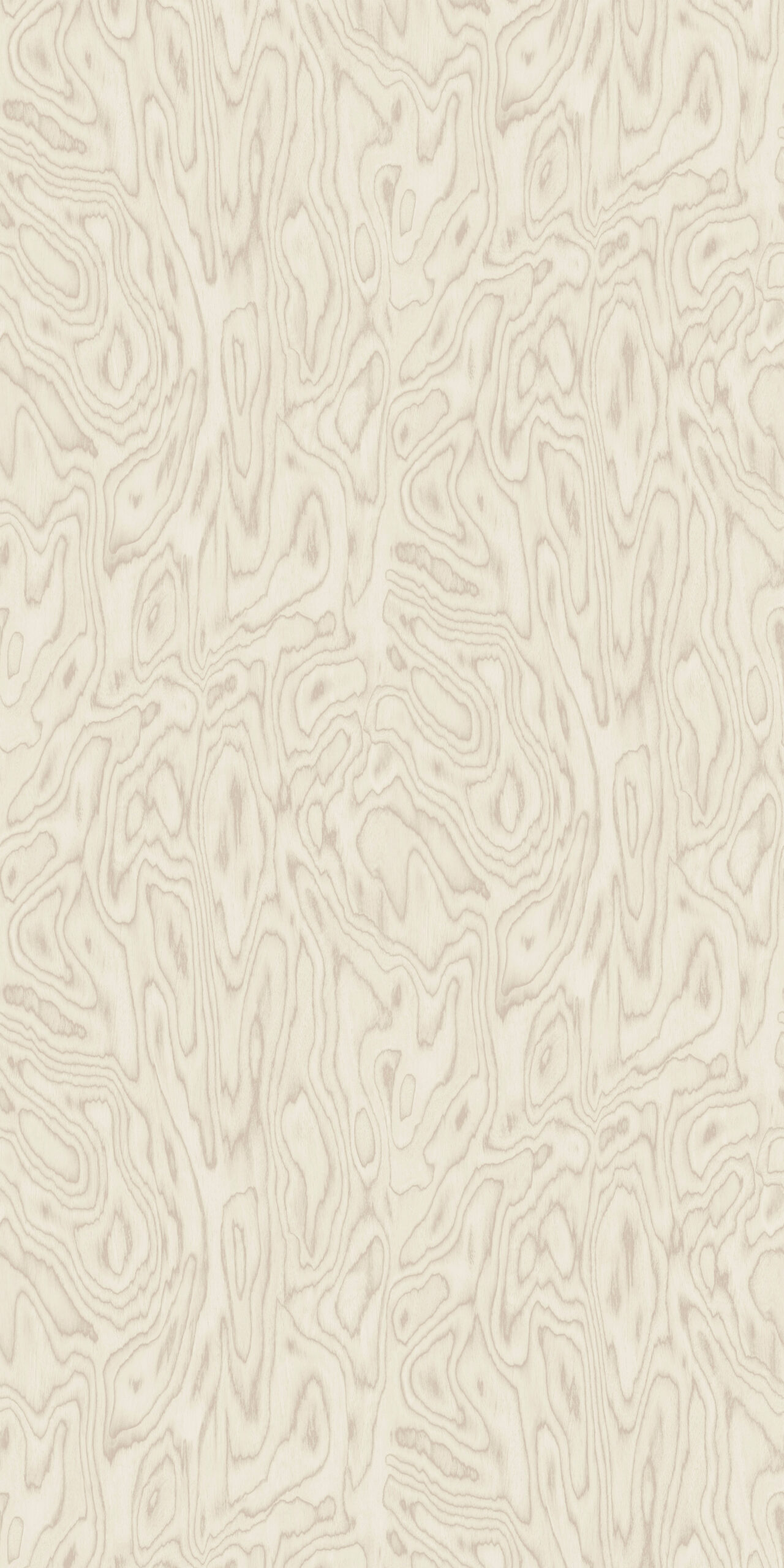Pino Italiano Bianco