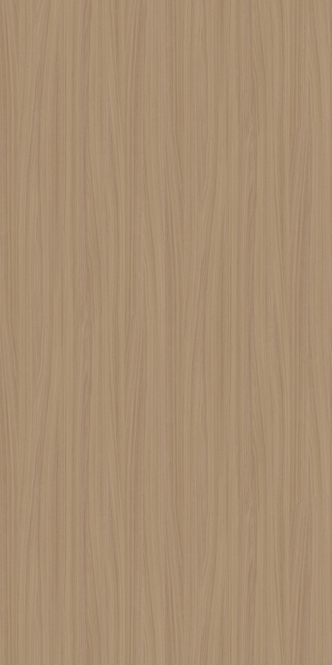 Genoa Elm Medio