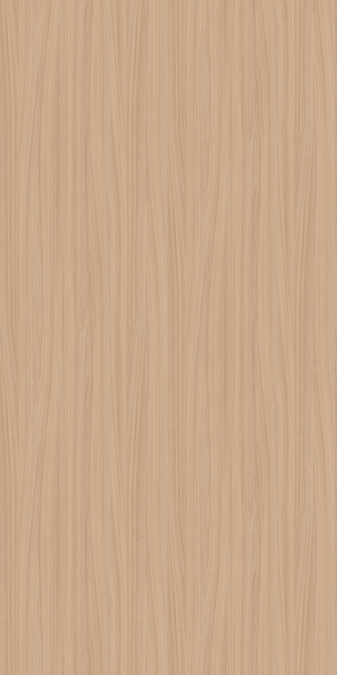 Genoa Elm Leggero