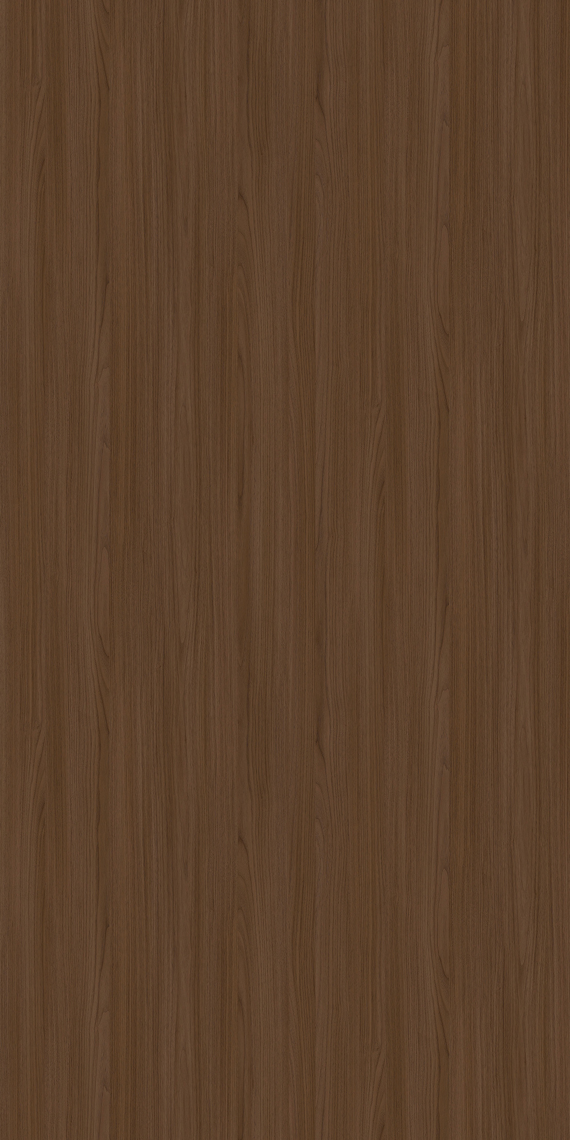 Pallemo Oak Marrone