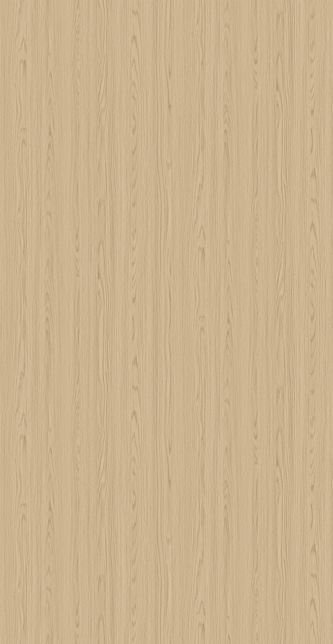 Bari Oak Giallo