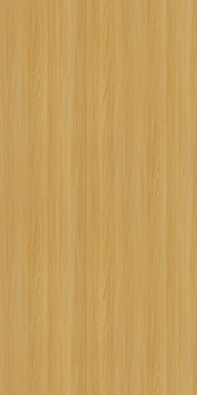 TS-DD 359