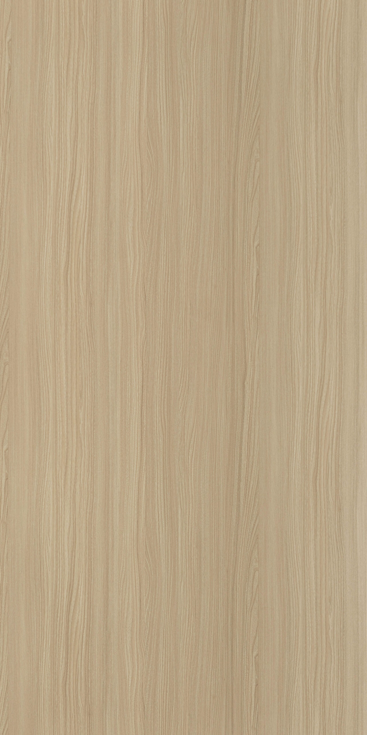 austin oak