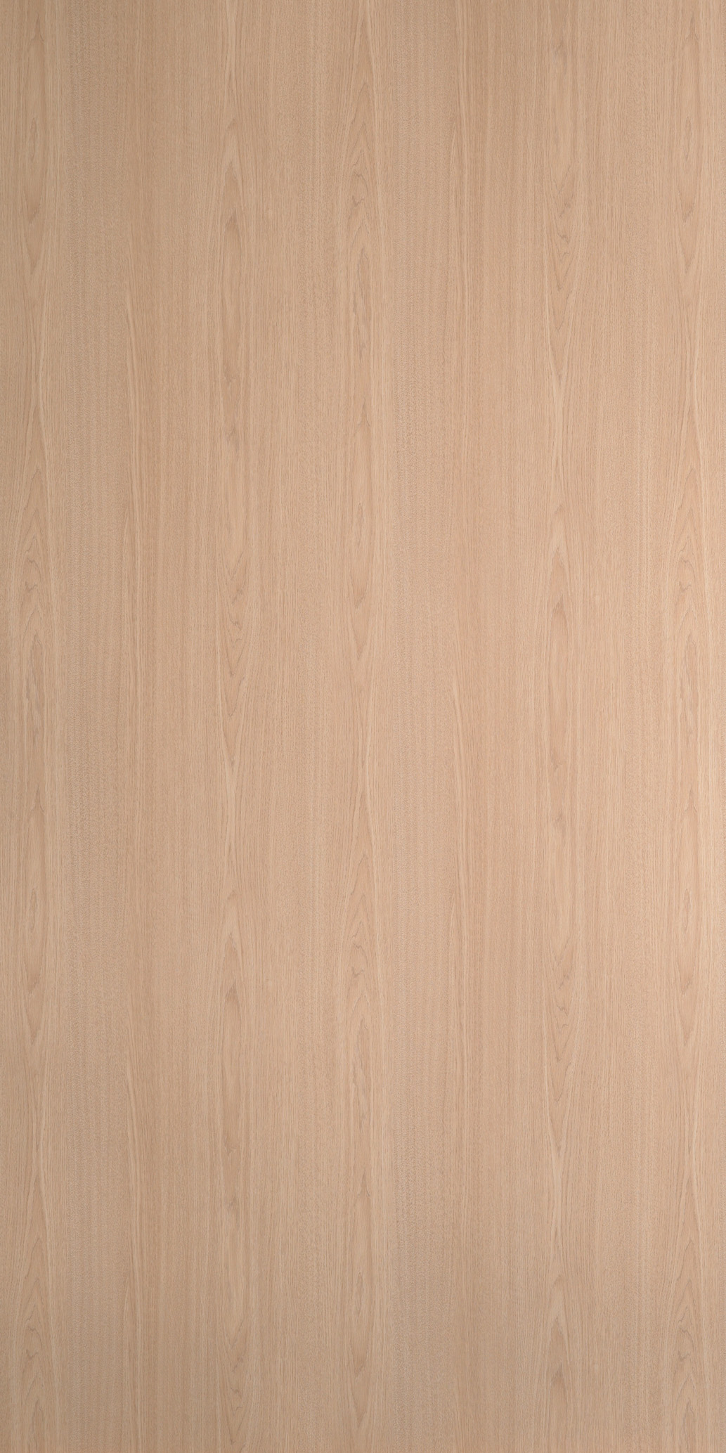 Beach OakF0369 Vicuna Grace Oak