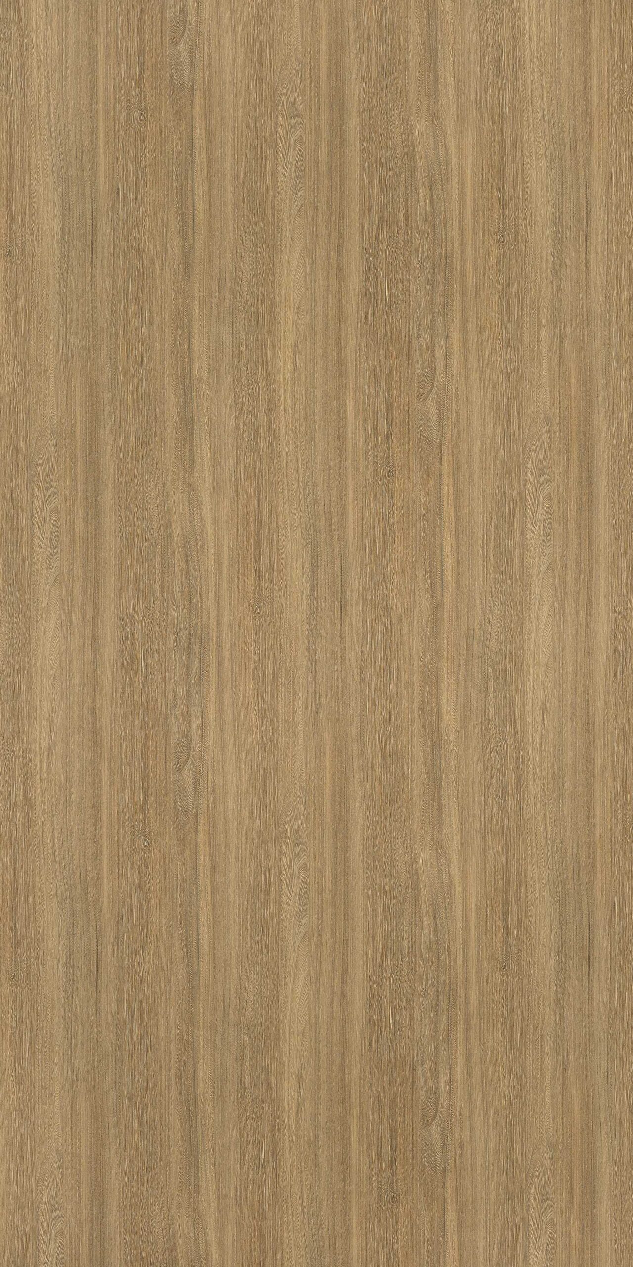 Brown ElmF6407 Honey Elm