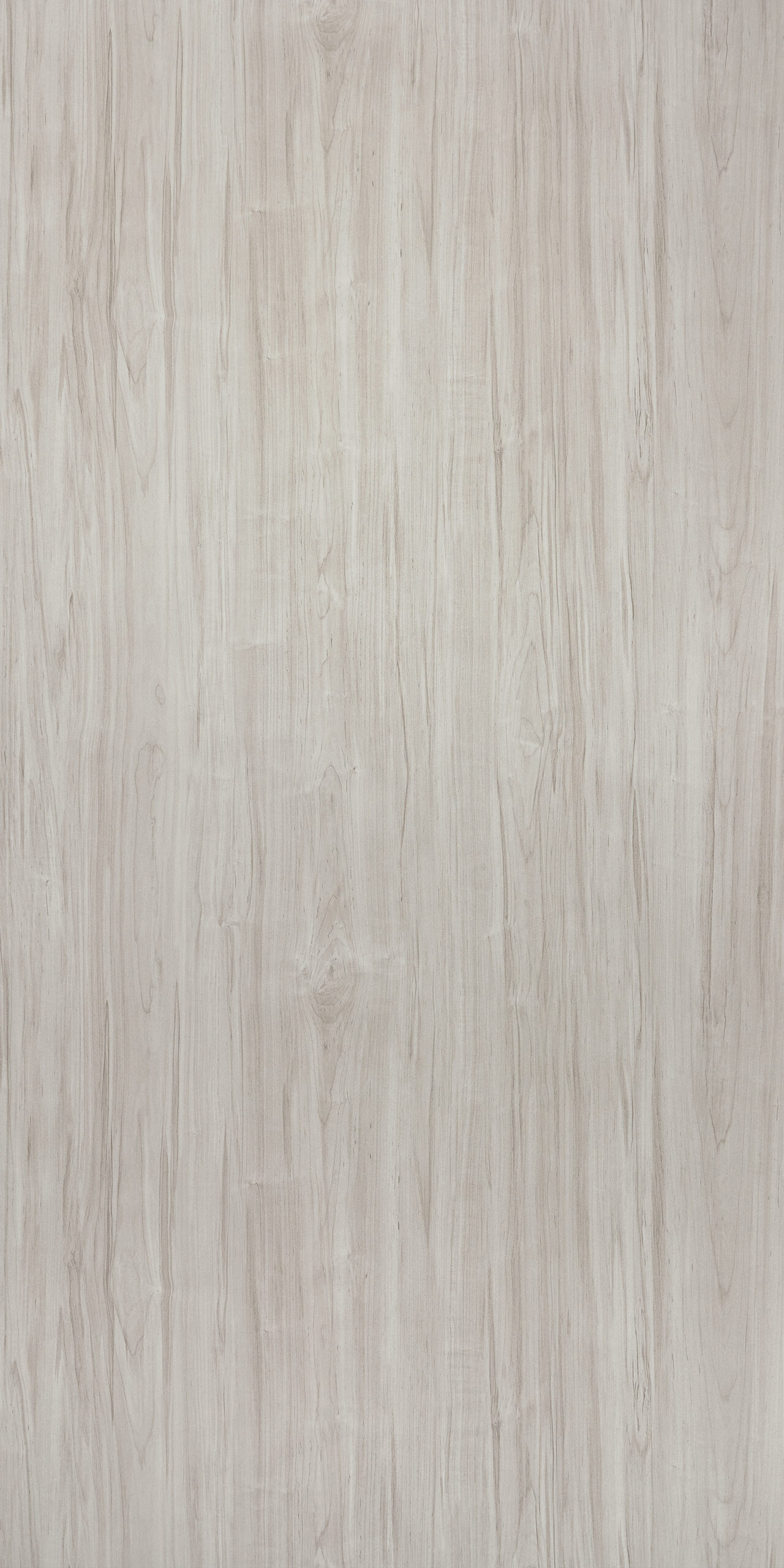 Gray Maple