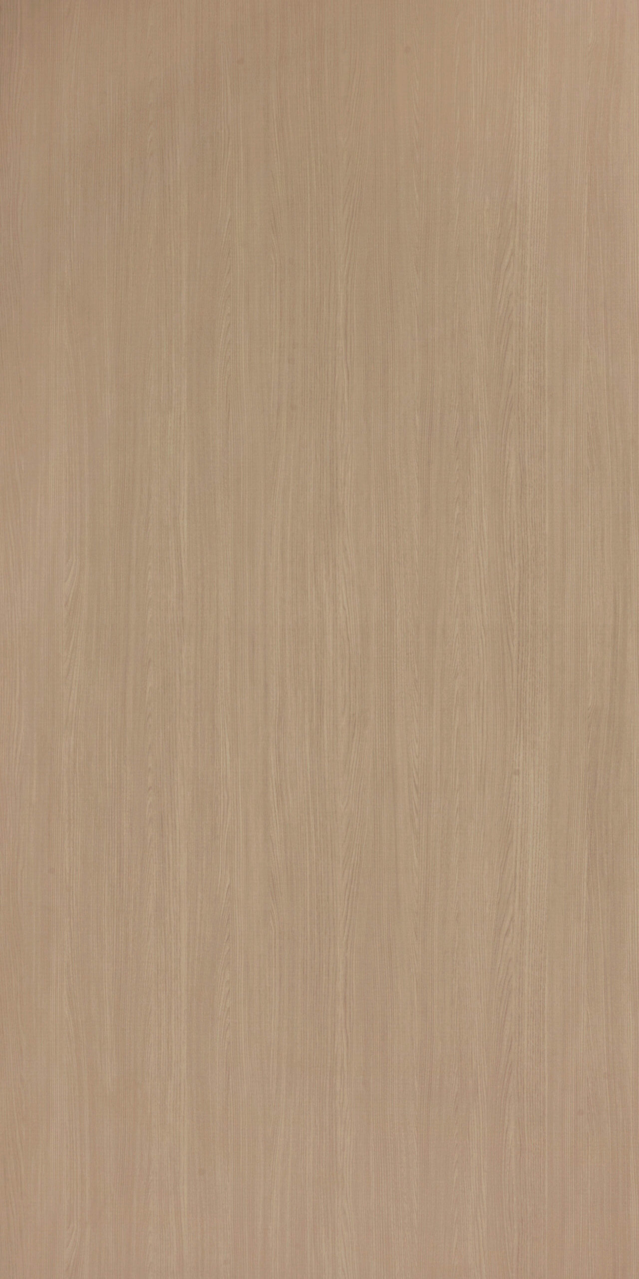Beige Ash