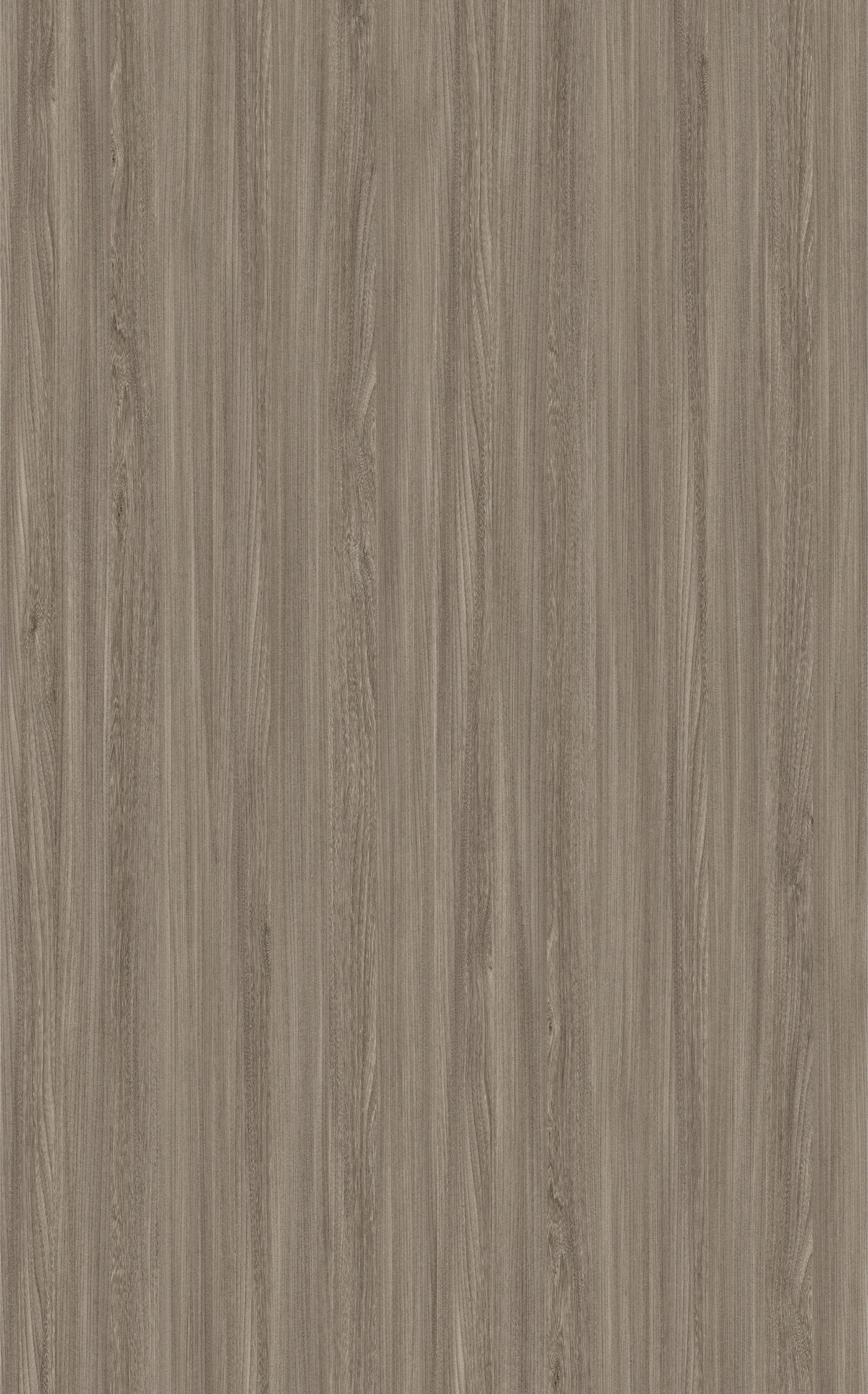 Carnet Elm